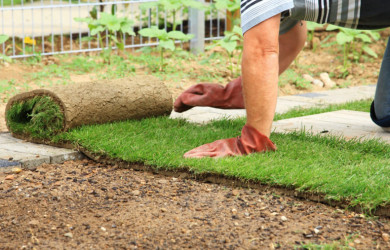 укладка и полив рулонного газона - фото - 1