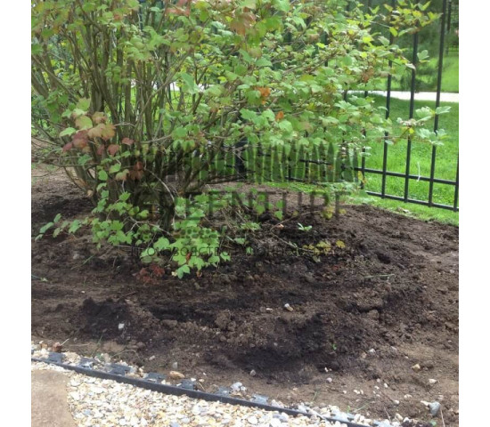 Устройство рулонного газона в коттеджном поселке - фото - 4