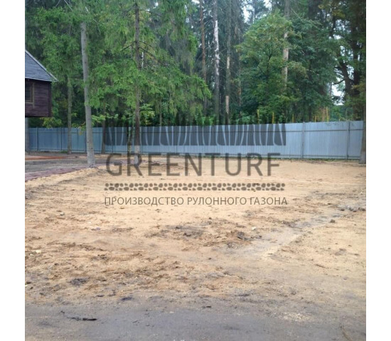 Озеленение частного домовладения - фото - 4