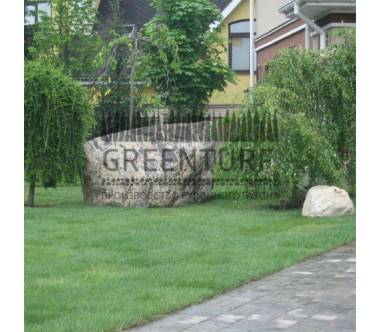 Устройство рулонного газона в частном доме - фото - 5